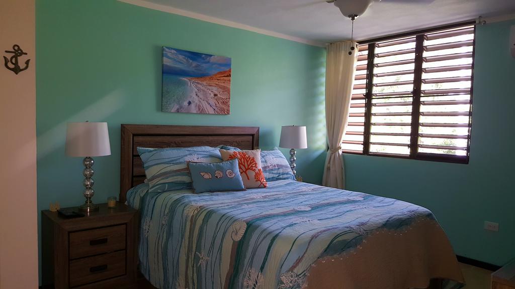 Fully Air-Conditioned Beach Front Penthouse Apartment Naguabo Kültér fotó