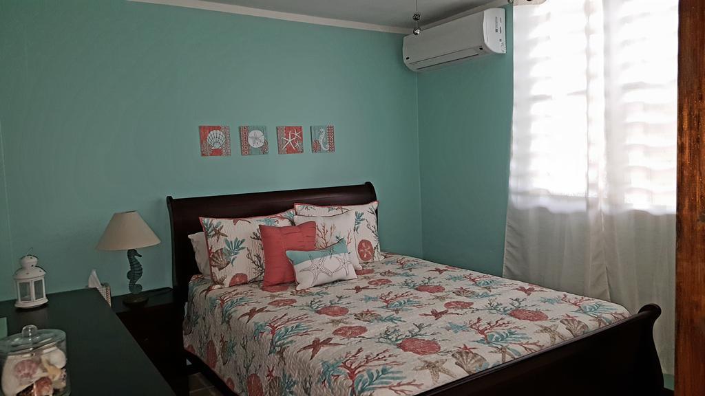 Fully Air-Conditioned Beach Front Penthouse Apartment Naguabo Kültér fotó